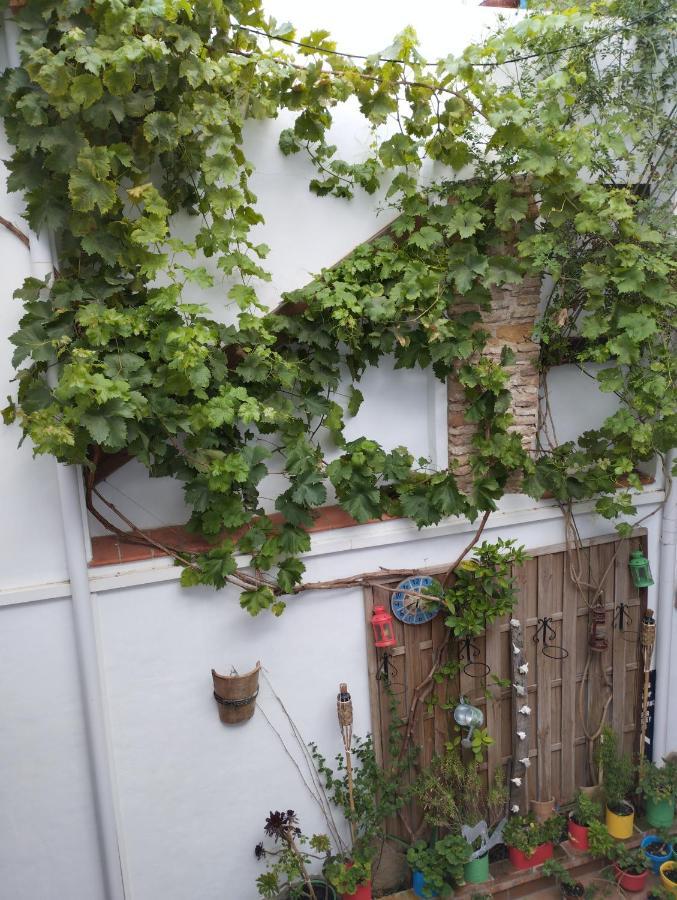 Apartamento Eg17 อาร์กอส เดลา ฟรอนเตรา ภายนอก รูปภาพ